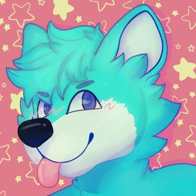 caseyさんのプロフィール画像