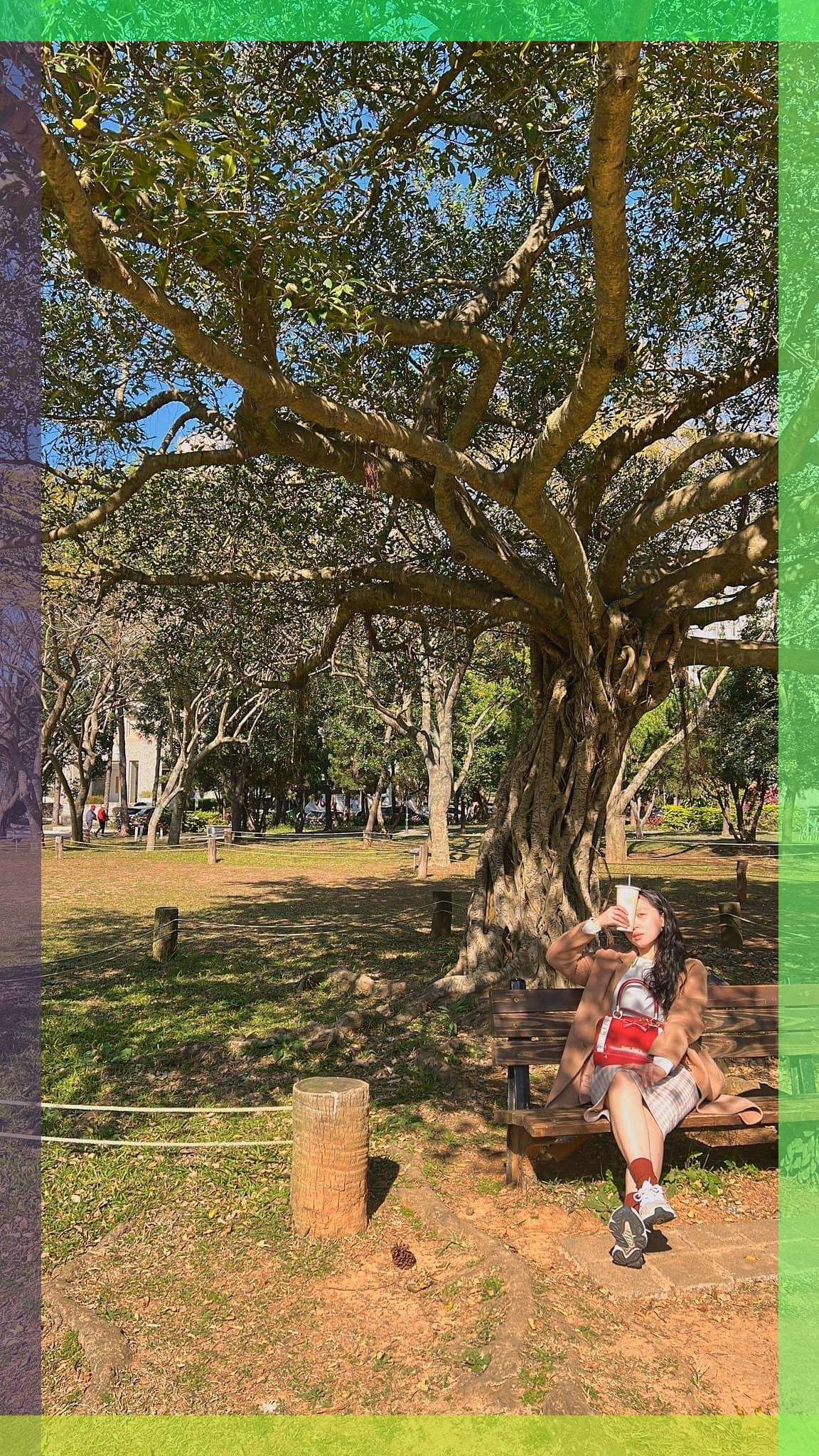 cethyez8224's profile picture. 