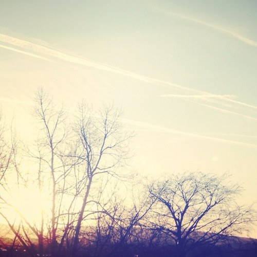 saravidalpeiro's profile picture. 