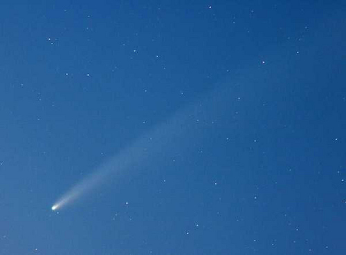 Foschia's profile picture. 夢中になれるものを探し人生をさまよっているが…小さな夢なのに！