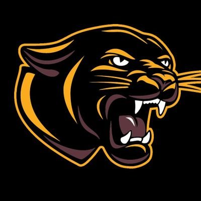 PPHS_TrackField's profile picture. Home of the Parkers Prairie Panthers Track and Field Team