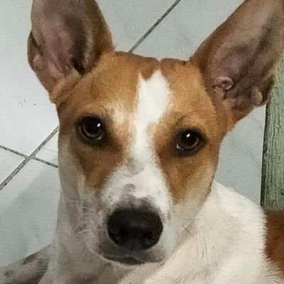 Th3GreatStalker's profile picture. nothing special...

what you see is what you get..

i am what i am...