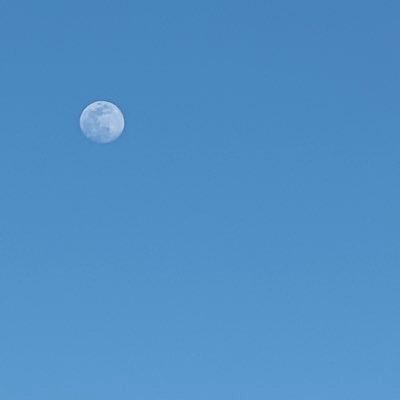 Kz2251455452928's profile picture.
