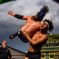 Miles Penn (@milespennpro) 's Twitter Profile