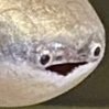 まっちゃの苗さんのプロフィール画像