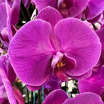 sharprazor74's profile picture. 