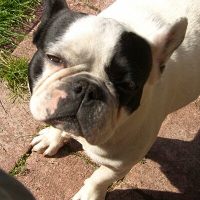 Jenny Rooks (@Rooksiemedia) | Twitter