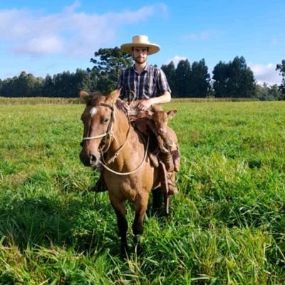 Sananduva- RS
IFRS Campus Sertão 🌱🚜
Técnico em agropecuária