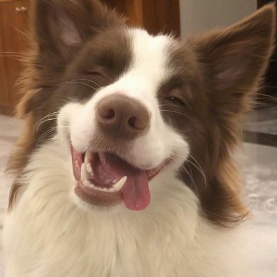 EffyFifine's profile picture. = Marketing Promoter Of Fifine Microphone
= Email: effyfifine@gmail.com
= Link tree: https://t.co/TJCHSMTokm