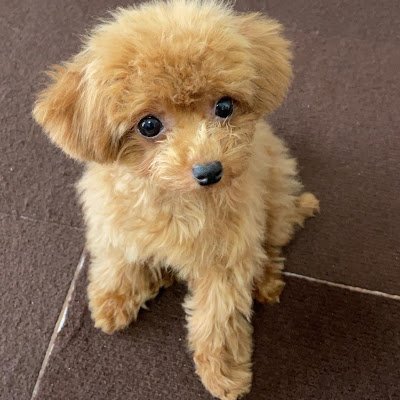 DMy3IQh0TD31545's profile picture. 