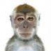 dzemoth (@dzemoth96782) Twitter profile photo dzemoth (@dzemoth96782) Twitter profile photo