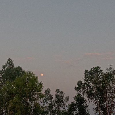 notfunnyatal_'s profile picture. In this era of hello I believe in jai shree ram