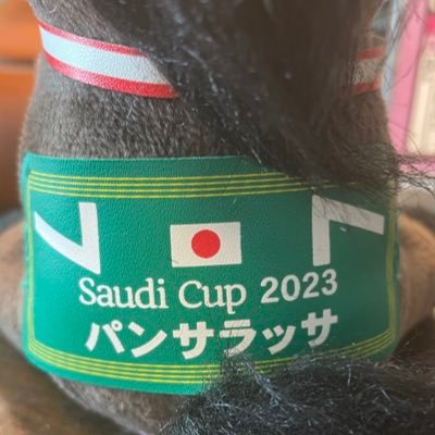 生存確認用🐴