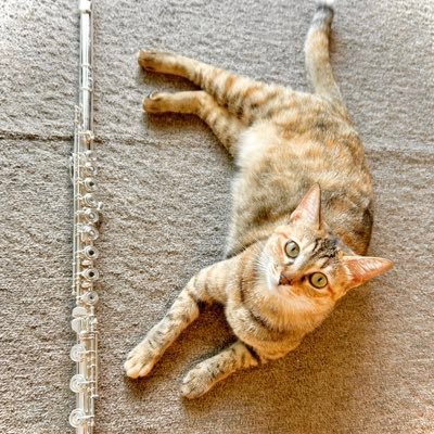 仕事も趣味もワーカホリックみのあるひとが、猫🐈(める)とお酒🍷🍺🍶の力を借りて脱却しようとしているアカウントです。本業はだいたい本田翼です。ﾊｲｱﾙ＆ﾍﾞﾙｼﾞｬﾝﾗﾊﾞｰｰ。Fl→nagaharaになりました🐱arslab/arc-hive/evergreen/笛ｵｹﾗｸﾞﾗｽ/ﾎﾟﾙﾄﾌｨﾙ