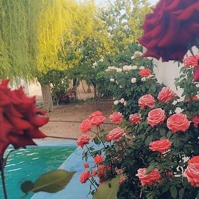 ➤𝑺𝒊 𝒑𝒖𝒆𝒅𝒆𝒔 𝒄𝒂𝒎𝒃𝒊𝒂𝒓 𝒕𝒖 𝒎𝒆𝒏𝒕𝒆, 𝒑𝒐𝒅𝒓𝒂𝒔 𝒄𝒂𝒎𝒃𝒊𝒂𝒓 𝒆𝒍 𝒎𝒖𝒏𝒅𝒐🌎