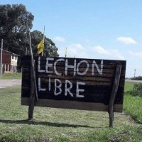 Lucho Plate (@luchoyjuego) 's Twitter Profile