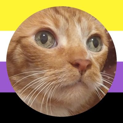 💛🤍 murpi 💜🖤さんのプロフィール画像