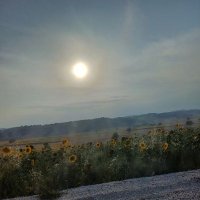 Ünzile Gökalp (@nzilegokalp) 's Twitter Profile Photo