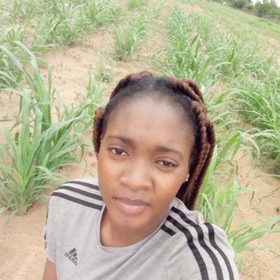 🇧🇫Agronomist engineer♥️ 🌱 🇧🇫