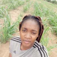 Agronome du Faso🇧🇫 (@sere_aida) 's Twitter Profile Photo Agronome du Faso🇧🇫 (@sere_aida) 's Twitter Profile Photo