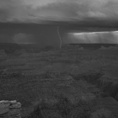 RBTribe's profile picture. 