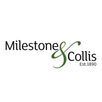 Milestone & Collis(@MilesCollis) 's Twitter Profile Photo