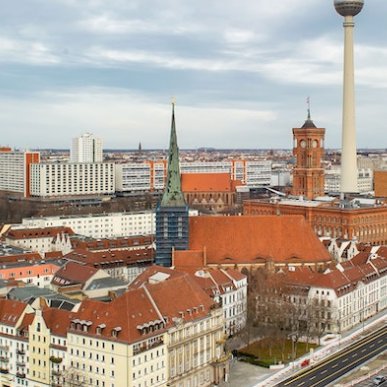 gruenimherzen's profile picture. 