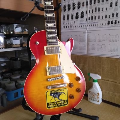 tsukakuwa275680's profile picture. クワガタが好きです(色々飼育中)
音楽が好きです　ルーツはBeatles.Zeppelin.Purpleです　80s邦ロックメインのコピーバンドで🎸担当してます 
車が好きです　その感触が好きです(BLレガシィ)
妻と2人暮し還暦過ぎの趣味人　無言フォローさせて頂きますので悪しからずよろしくお願いします🙇