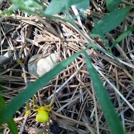 ahorizon_0008's profile picture. 