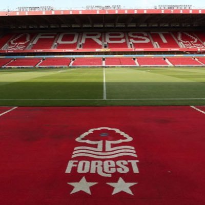 ForestFanF13794 Profile Picture