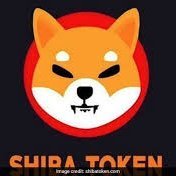 Passionate about all things Shiba Crypto 🐕🚀
