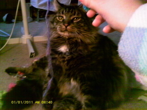 smfjlgmlf's profile picture. 