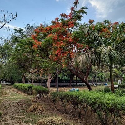 dhibar_manas's profile picture. Well Nothing