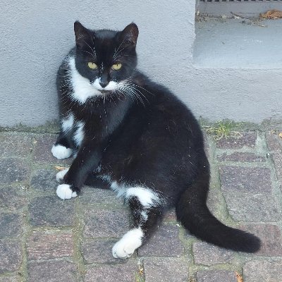 09.2022~🇩🇪
私文卒が理転してDuales Studium(Wirtschaftsinformatik)に挑戦するアカウントです💻
正規留学目指してVHSでC1学習中💪→4月にTestDaF合格&23年10月より大学開始!
学部時代に英国交換留学🇬🇧
在独&欧州邦人の皆様よろしくお願いします🙏