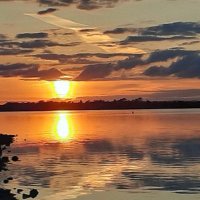 Mary molloy (@mmolloyguidance) 's Twitter Profile