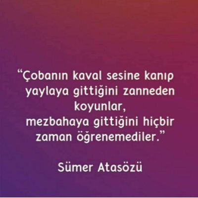 MahmutTurel's profile picture. 21https://goo.gl/search/Karpuz
Karpuz, Meyve
https://t.co/QB3f6VliZl
🎥 Niloya - Dünya Karpuz Günü kutlu olsun 🍉🍉🍉 - YouTube

BLOG YAZARİ..