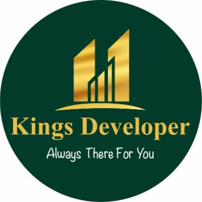 developer_kings Profile Picture