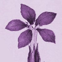 Durham University Poetry Society(@PoetryDurham) 's Twitter Profile Photo