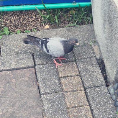 めい˚✧さんのプロフィール画像