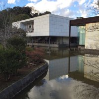 こうちゃん (@kou_shimatani) Twitter profile photo