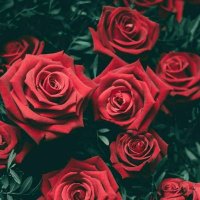 ★ نجود ★ (@nogood2000moh) 's Twitter Profile Photo