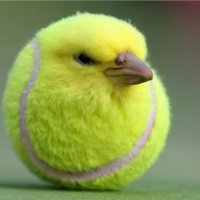 Magnitude Of Order (@lolanditslmao) 's Twitter Profile