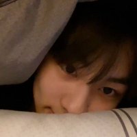 wiwins (@penguwins) 's Twitter Profile