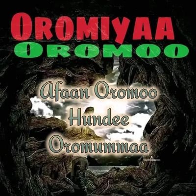 Oromoon Bilisummaa, Walabummaa fi Birmadummaa Oromoof Oromiyaa irratti Abbaa ta'uu qaba.
ABO-WBO haa waaru ❤️💚❤️
Oromiyaan Biyya ❤️💚❤️