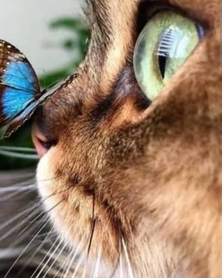 Nesil_D's profile picture. Ülkesine ve doğaya aşık💐
🦁O bir aslan