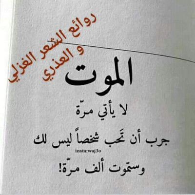 AbdellahLa43917's profile picture. 