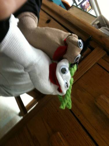 alexalex522's profile picture. 