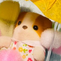 知夏 明石のメガネは私の蜻蛉 (@chikatcat) 's Twitter Profile Photo