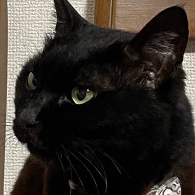 赤城さんのプロフィール画像