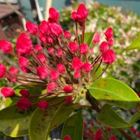 bouajisai (@boajisai) 's Twitter Profile Photo